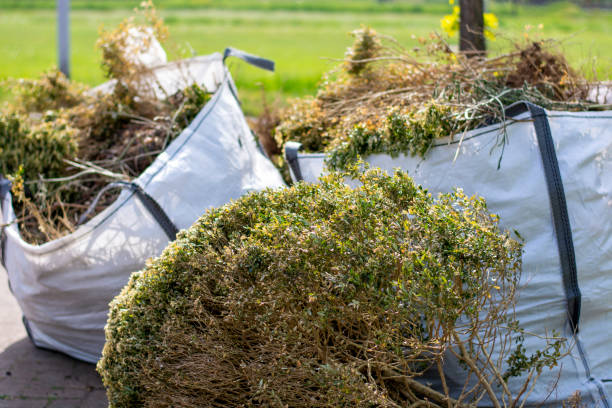  Indian Rocks Beach, FL Junk Removal Services Pros